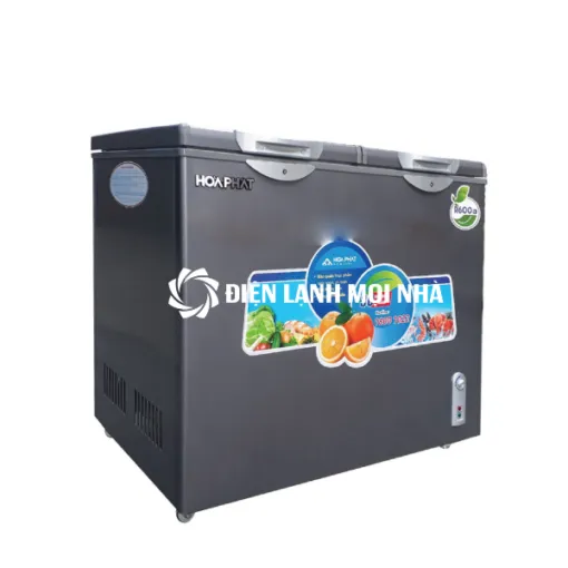 Tủ đông Hòa Phát 2 ngăn 2 cánh HPF BD6205G 205L