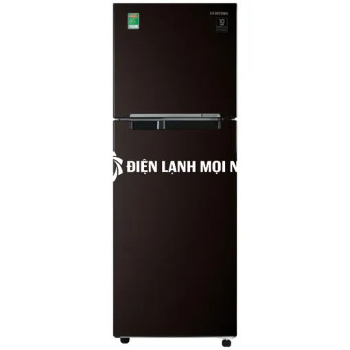 Tủ lạnh Samsung Inverter 236 lít RT22M4032BYSV